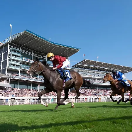 Modern Minimalist 3-bed Duplex In - Pass The Keys *